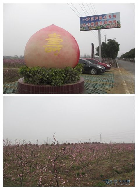 圖片16.png