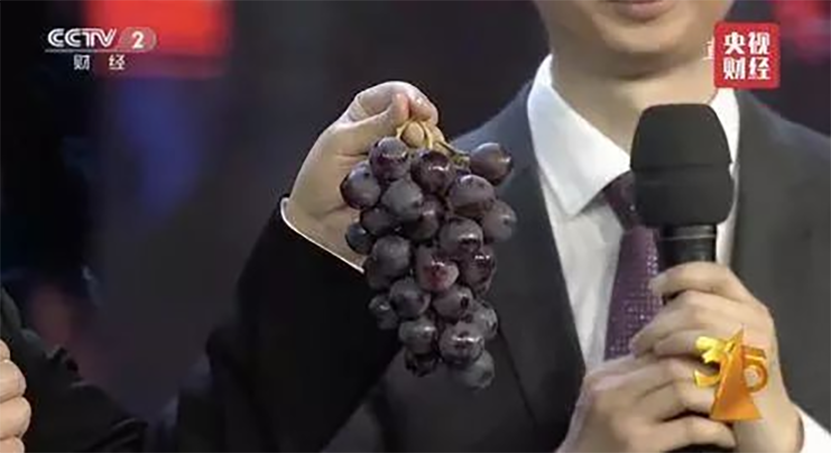 19.png